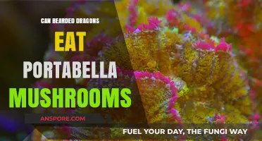 Can Bearded Dragons Safely Eat Portabella Mushrooms? A Guide