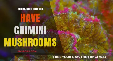 Can Bearded Dragons Eat Crimini Mushrooms? A Safe Diet Guide