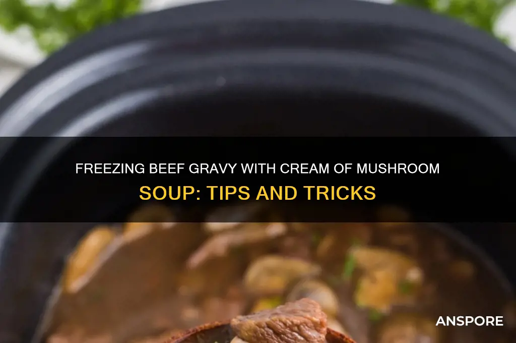can beef gravy with cream of mushroom soup be frozen