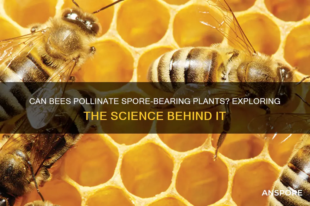 can bees pollionate spore bloosom