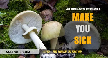 Mushroom Exposure Risks: Can Proximity Cause Illness or Symptoms?