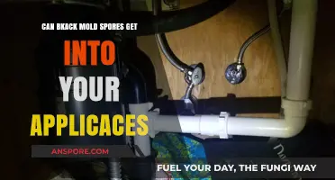 Can Black Mold Spores Invade Your Appliances? What You Need to Know