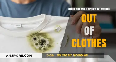 Washing Black Mold Spores from Clothes: Effective Methods and Tips