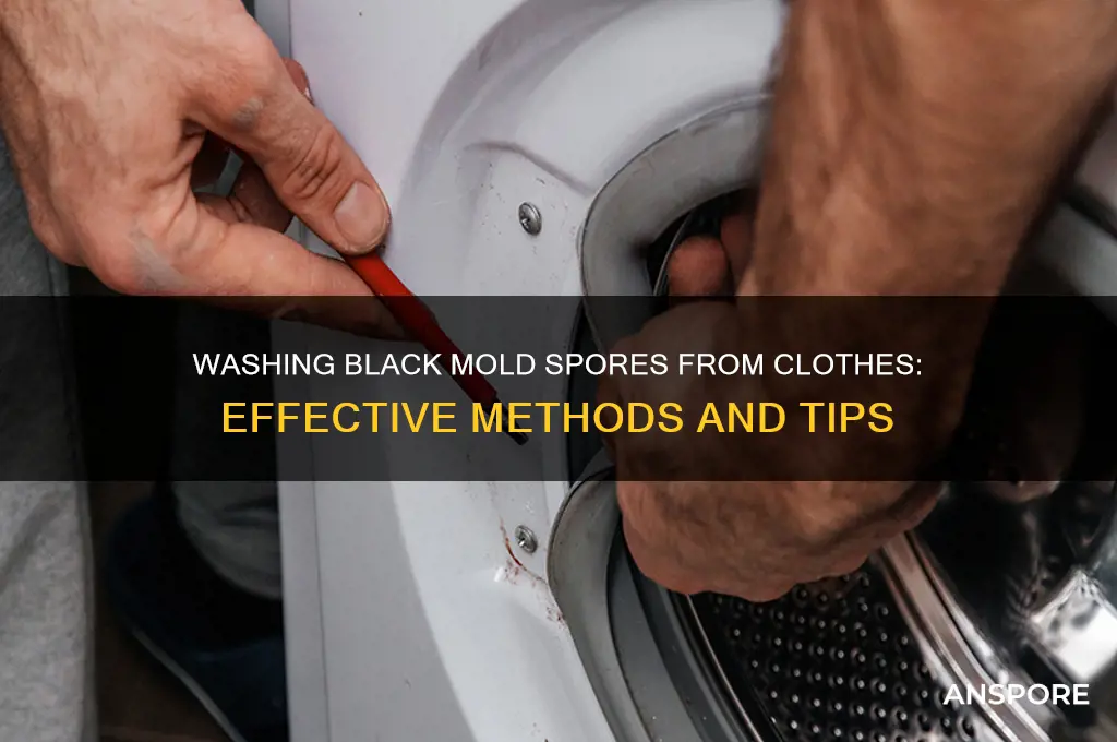 can black mold spores be washed out of clothes