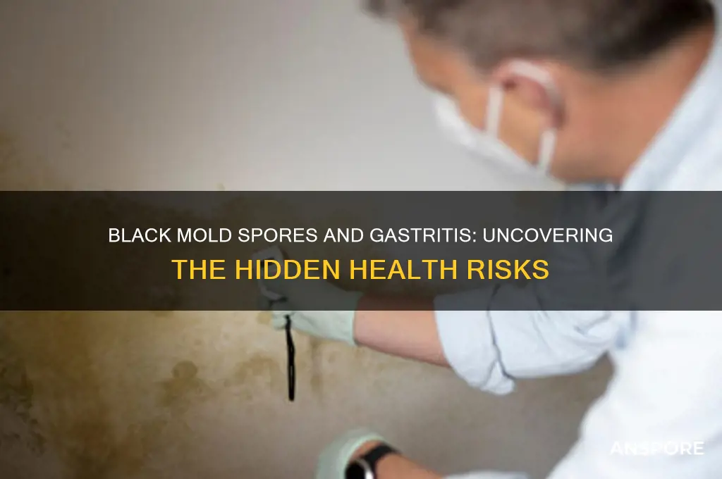 can black mold spores cases gastrisits