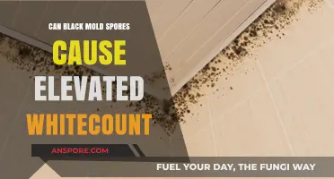 Black Mold Spores: Potential Link to Elevated White Blood Cell Counts