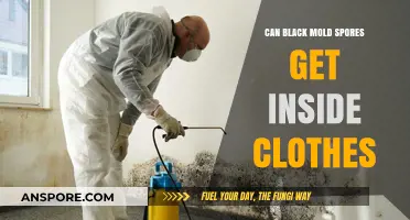 Can Black Mold Spores Penetrate and Contaminate Your Clothing?