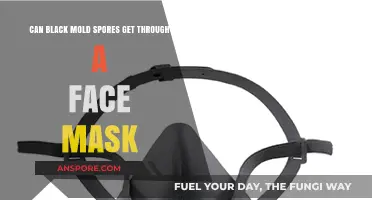 Can Face Masks Protect Against Black Mold Spores? Find Out