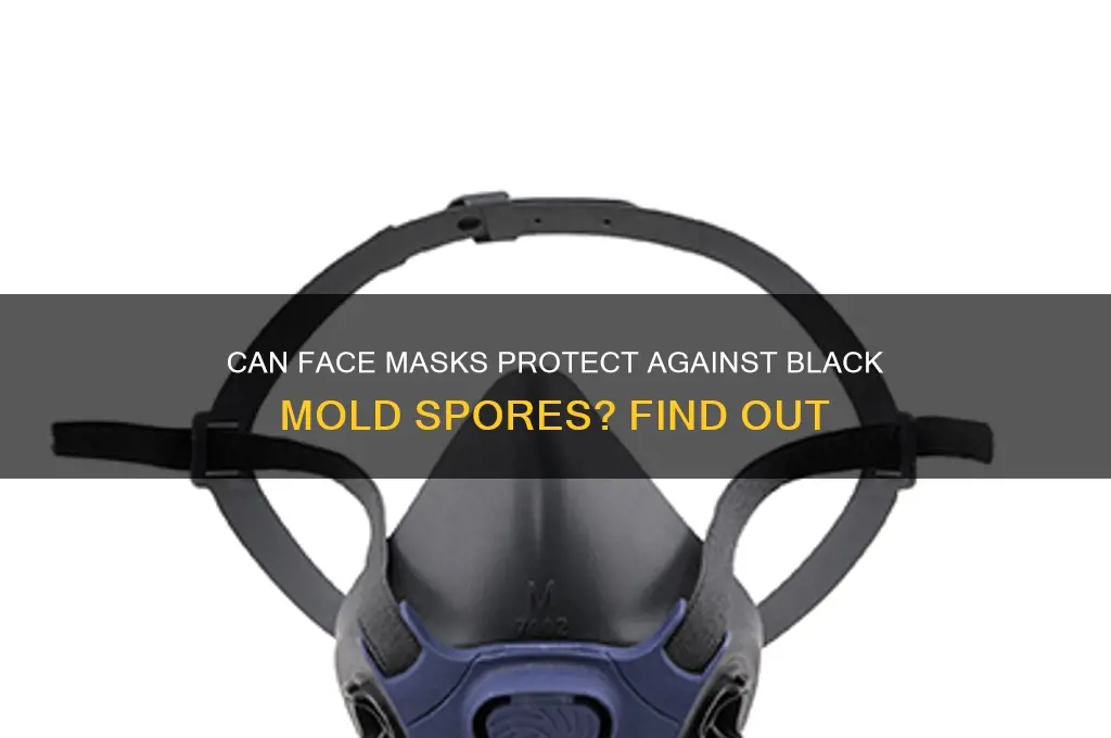 can black mold spores get through a face mask