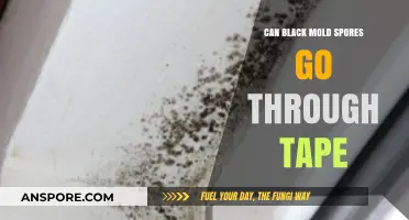 Can Black Mold Spores Penetrate Tape? Uncovering the Truth