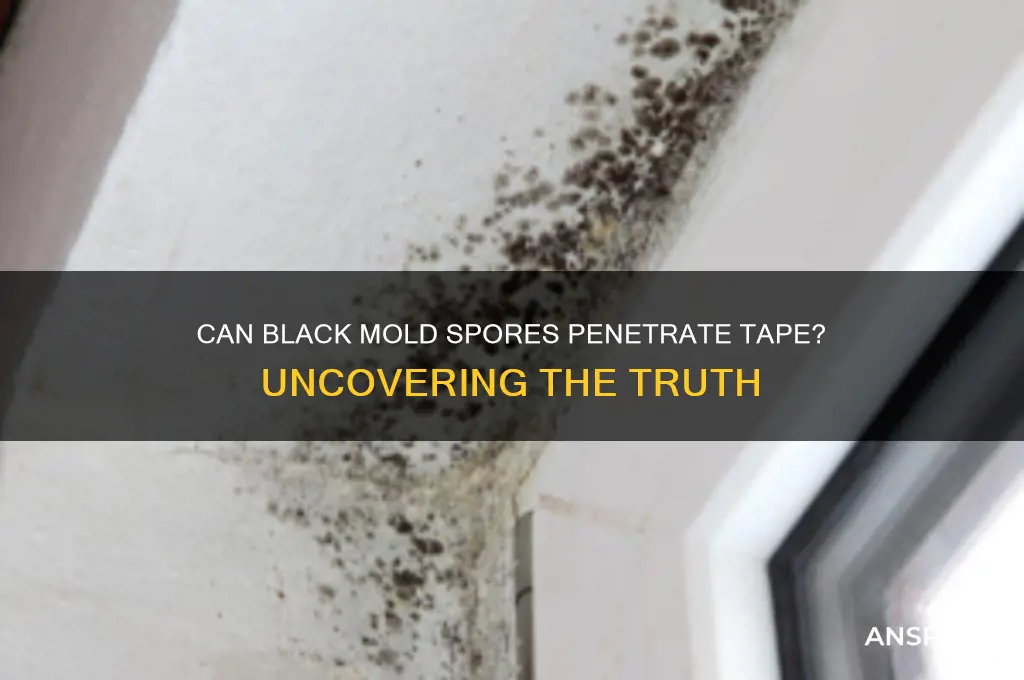 can black mold spores go through tape
