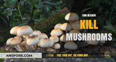 Can Bleach Kill Mushrooms? A Comprehensive Guide to Fungal Eradication