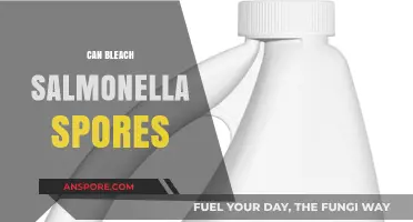 Can Bleach Kill Salmonella Spores? A Comprehensive Guide to Disinfection
