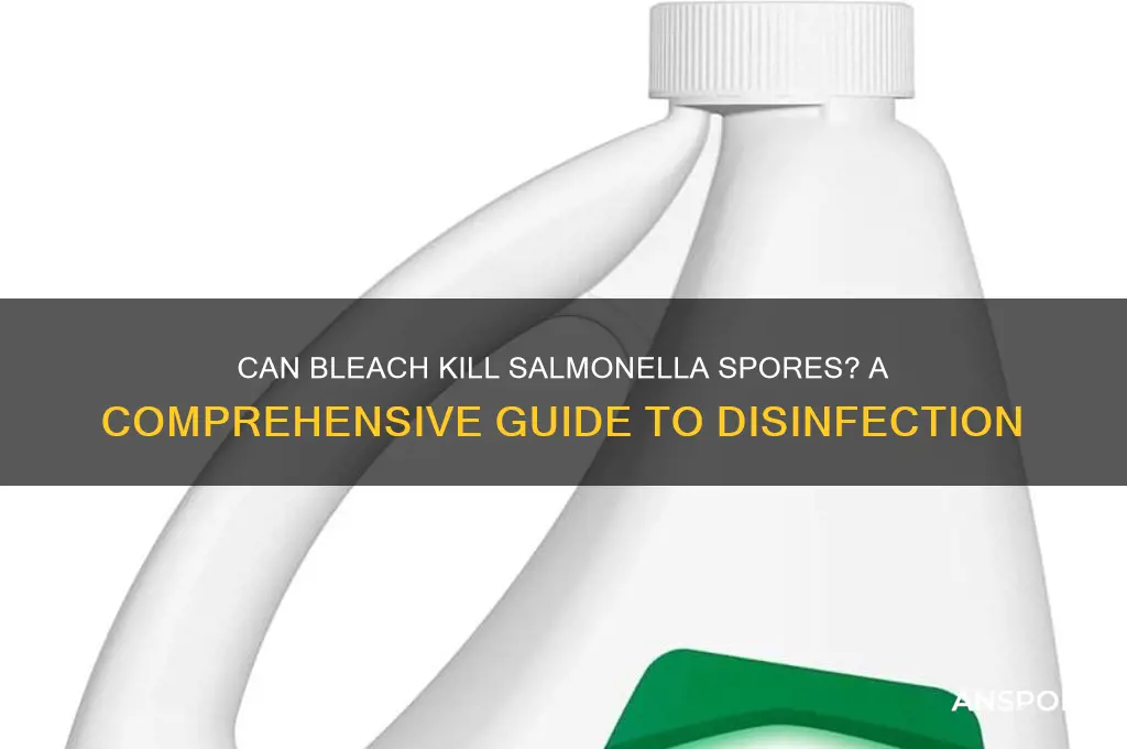 can bleach salmonella spores