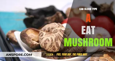 Can Blood Type A Safely Enjoy Mushrooms in Their Diet?