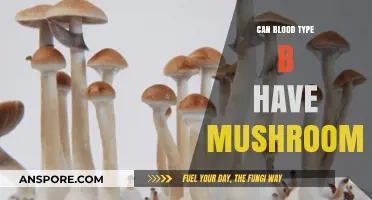 Can Blood Type B Safely Enjoy Mushrooms? A Dietary Guide
