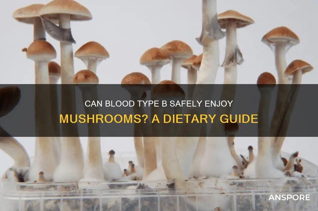 can blood type b have mushrooms