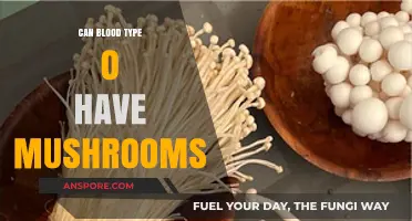Can Blood Type O Safely Enjoy Mushrooms? Dietary Insights Revealed