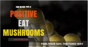 O Positive Blood Type: Can You Safely Enjoy Mushrooms in Your Diet?