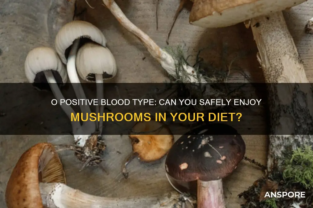 can blood type o positive eat mushrooms