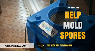 Blue Air Purifiers: Effective Solution to Eliminate Mold Spores?
