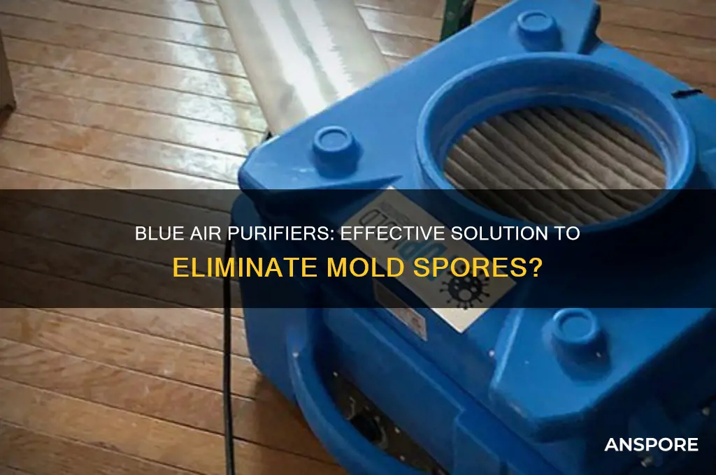 can blue air help mold spores