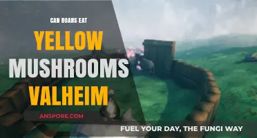 Can Boars Safely Eat Yellow Mushrooms in Valheim? Find Out!