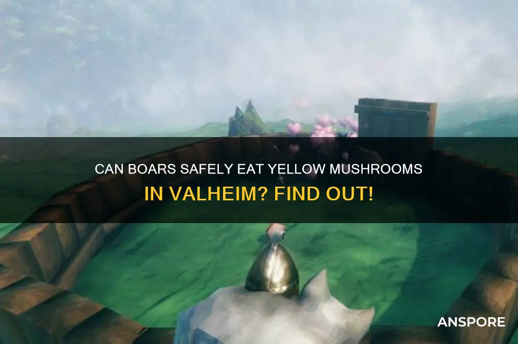 can boars eat yellow mushrooms valheim