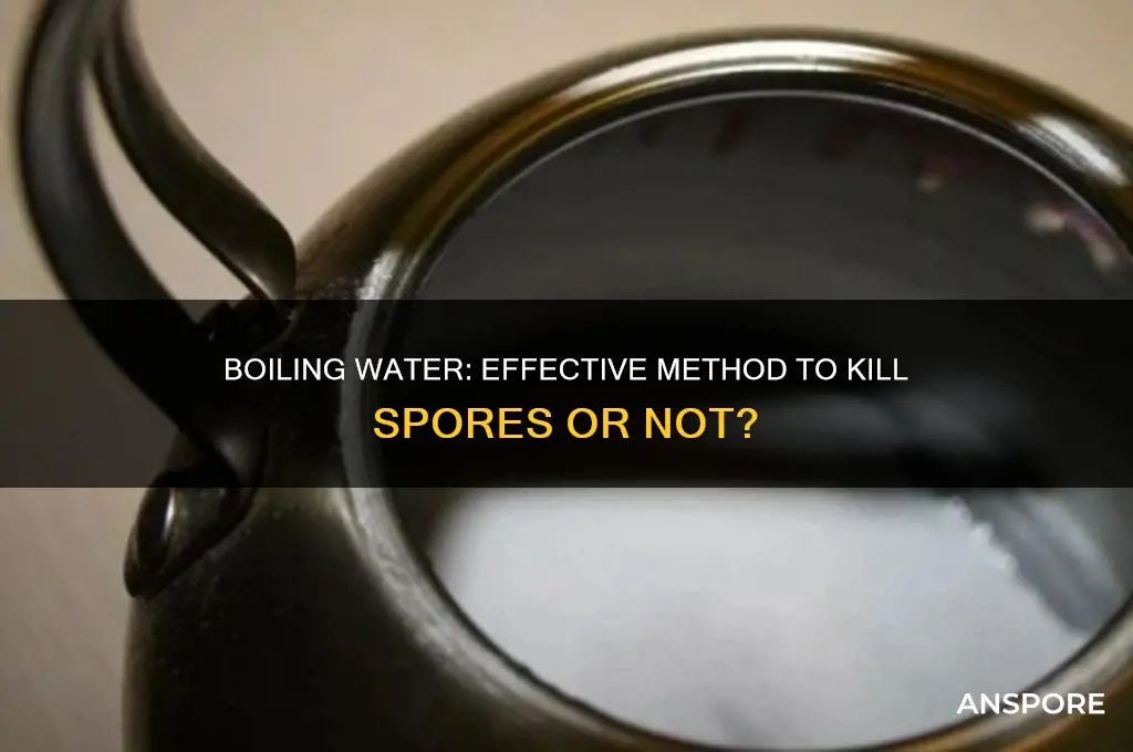 can boiling kill spores