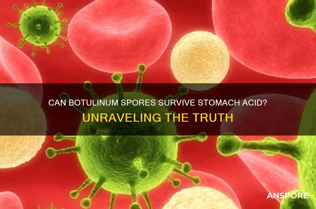 can botulin spores survive stomach acid
