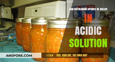 Can Acidic Solutions Effectively Kill Botulinum Spores? Exploring the Science