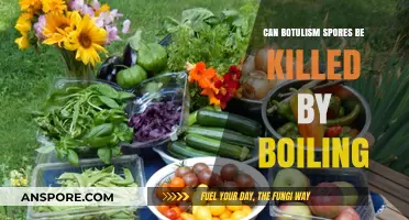 Boiling and Botulism: Can Heat Kill Dangerous Spores Effectively?