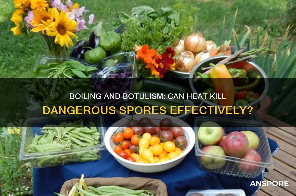 can botulism spores be killed by boiling