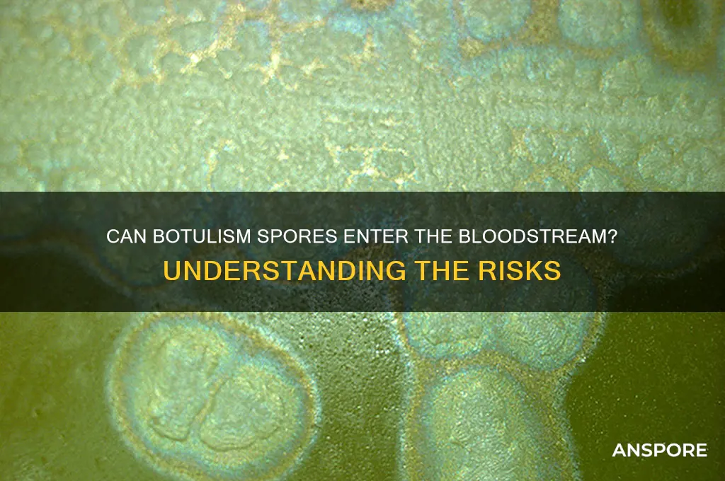 can botulism spores enter bloodstream