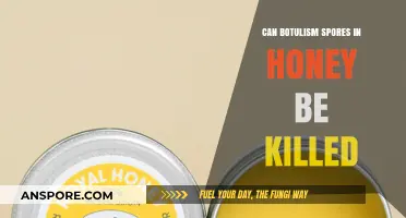 Can Botulism Spores in Honey Be Killed? The Truth Revealed