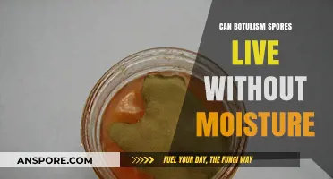 Botulism Spores Survival: Can They Thrive Without Moisture?