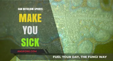 Botulism Spores: Can They Cause Illness and Health Risks?