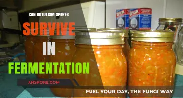 Can Botulism Spores Survive Fermentation? Uncovering the Risks and Facts