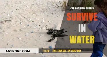 Can Botulism Spores Survive in Water? Uncovering the Truth