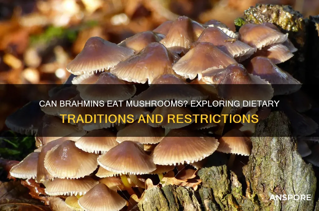 can brahmins eat mushroom
