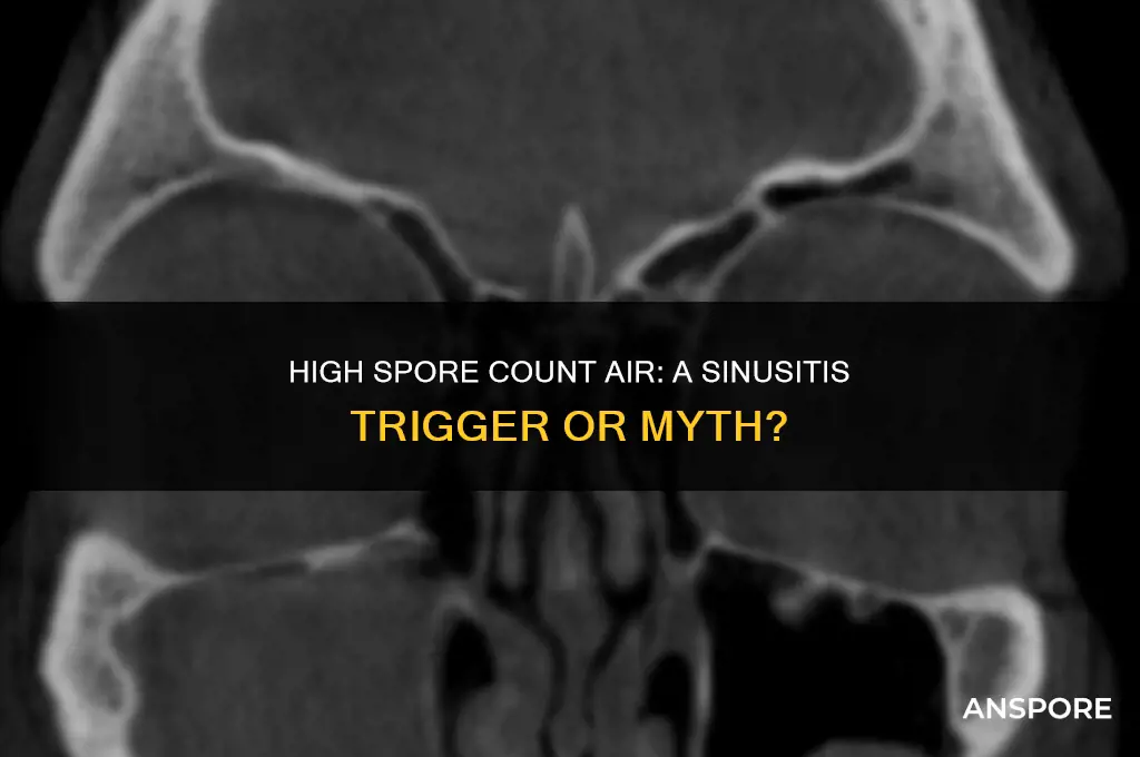 can breathing air with high spore count cause sinusitis