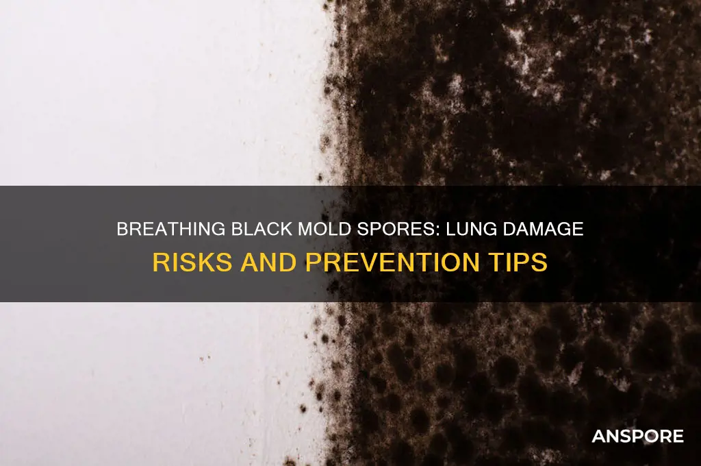 can breathing black mold spores damage your lungs