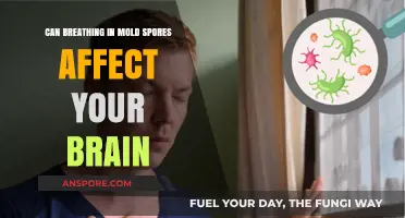 Mold Spores and Brain Health: Uncovering the Hidden Risks