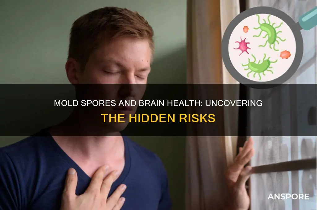 can breathing in mold spores affect your brain