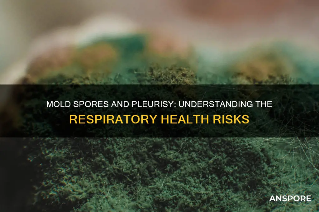 can breathing in mold spores cause pleurisy