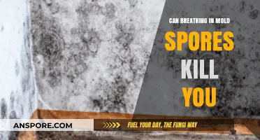 Can Breathing Mold Spores Be Fatal? Uncovering the Truth