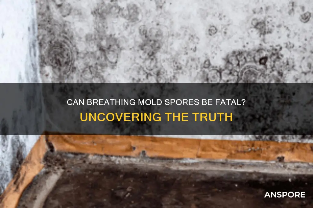 can breathing in mold spores kill you