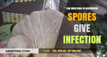 Breathing Mushroom Spores: Risks of Inhalation and Potential Infections
