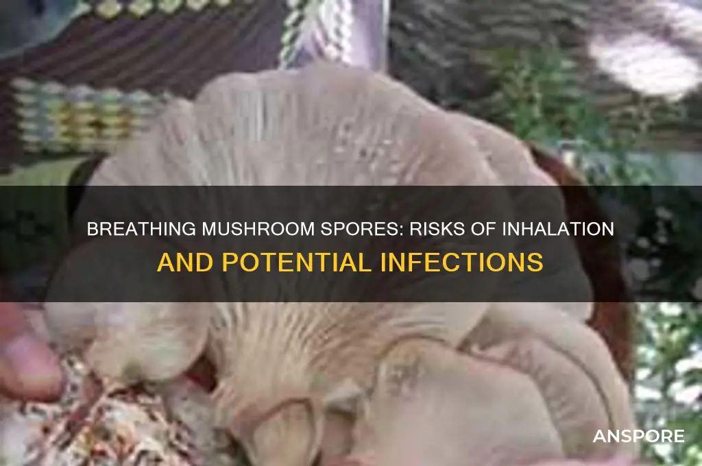 can breathing in mushroom spores give infection