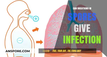 Breathing in Spores: Understanding the Risks of Fungal Infections